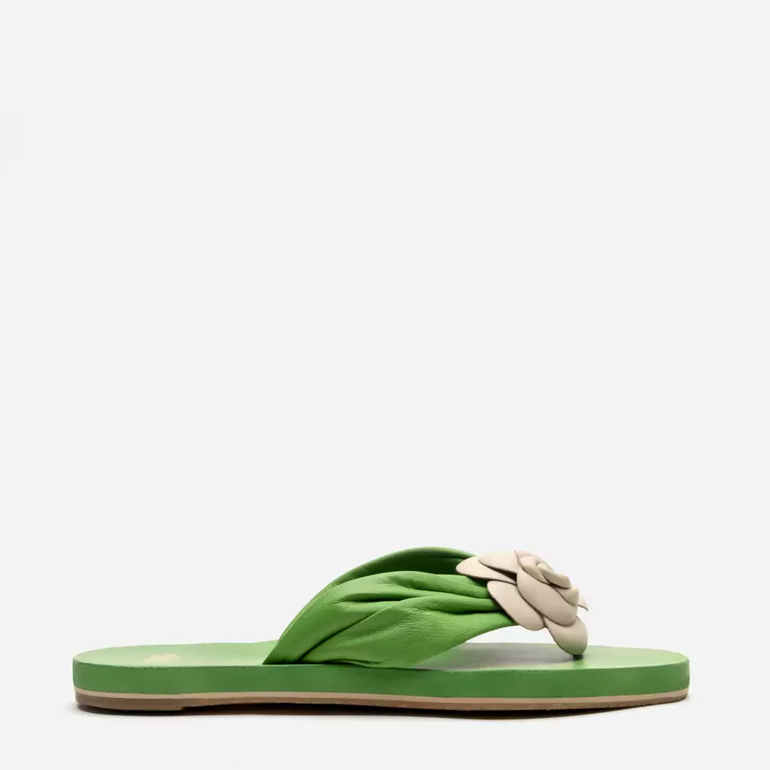 Frances Valentine Magnolia Cloud Thong Sandal Green Oyster NEW ARRIVALS 3 Frances Valentine Magnolia Cloud Thong Sandal Green Oyster NEW ARRIVALS