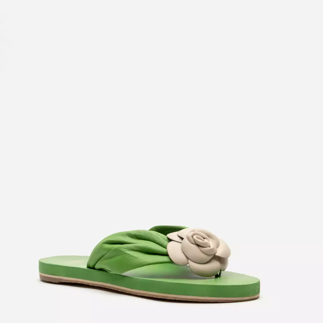 Frances Valentine Magnolia Cloud Thong Sandal Green Oyster NEW ARRIVALS 6 Frances Valentine Magnolia Cloud Thong Sandal Green Oyster NEW ARRIVALS